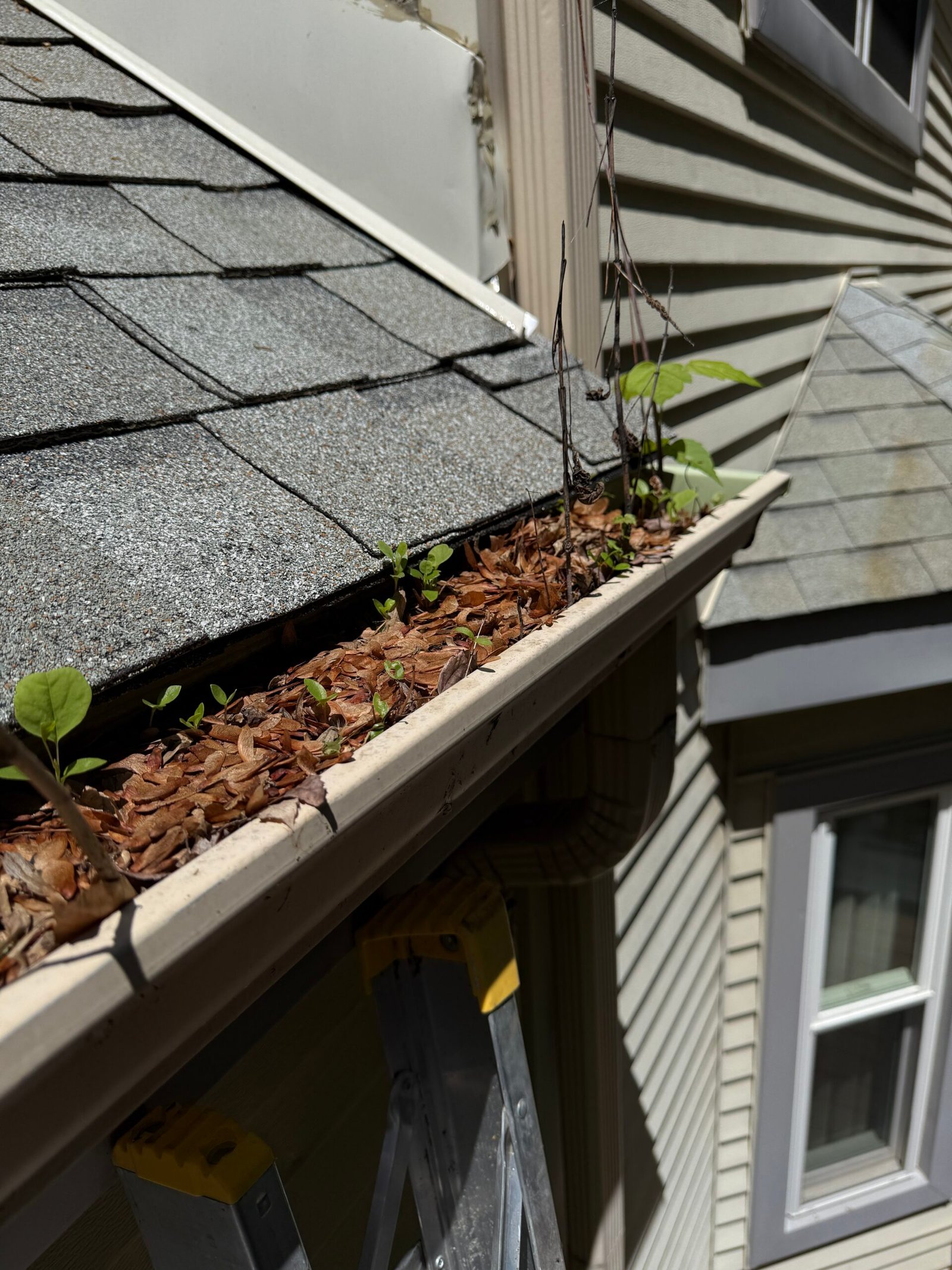 Langhorne PA Gutter Cleaning 4 Before