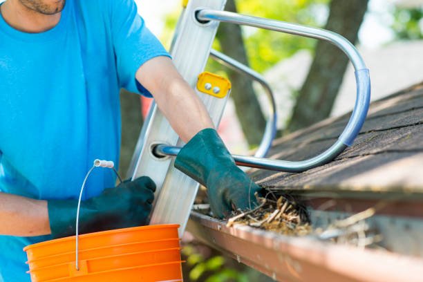 Gutter Cleaning 4 istockphoto 1475121450 612x612 1