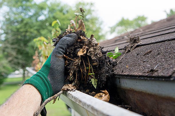 Gutter Cleaning 6 istockphoto 485292592 612x612 1